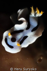posterized nudi by Heru Suryoko 